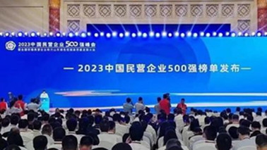 冠亚体育
位列2023中国民营企业500强第203位、2023中国制造业民营企业500强第139位